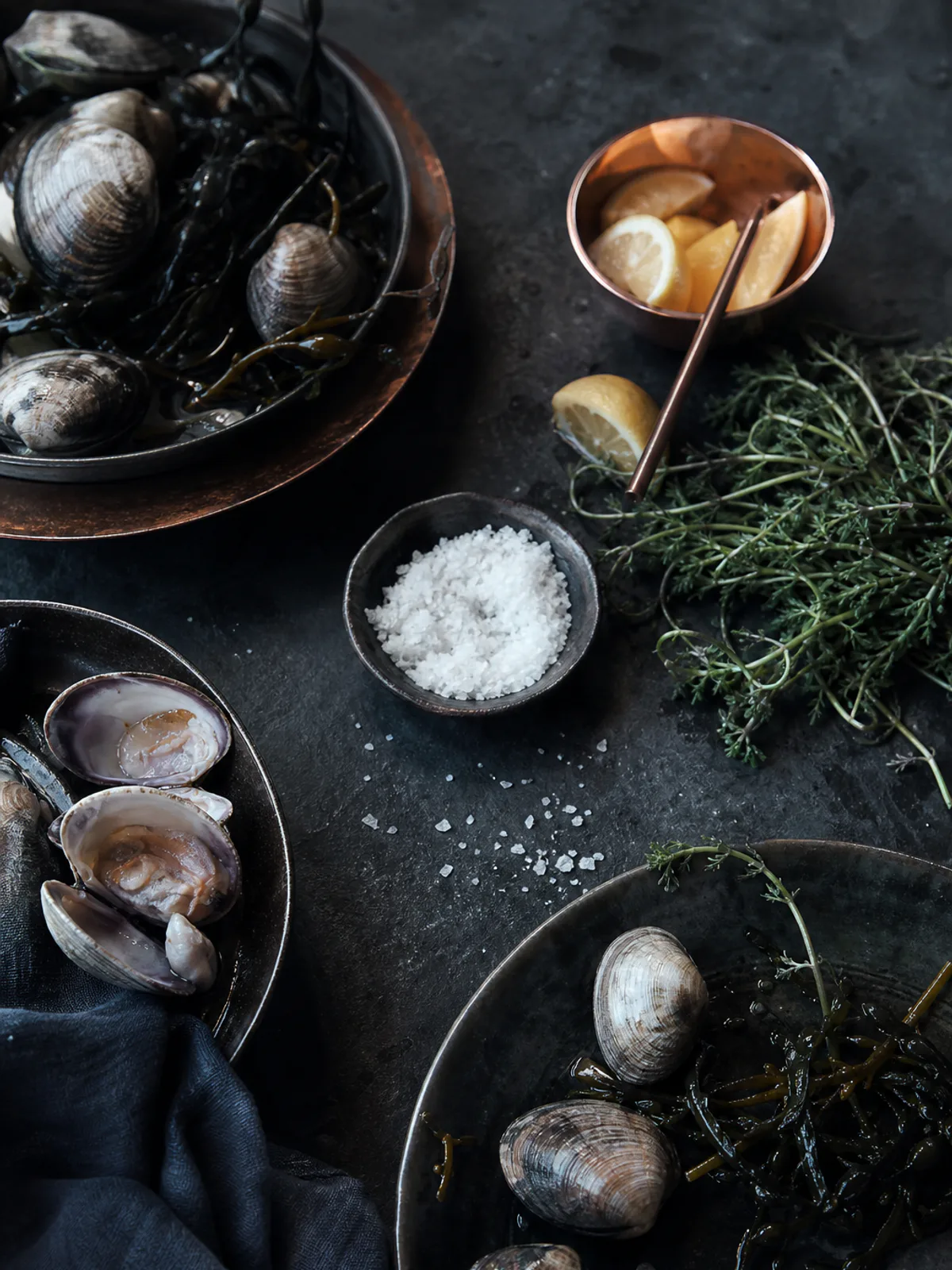 Baltic shellfish, coastal herbs, sea salt and preserved lemon prepared on dark stone.